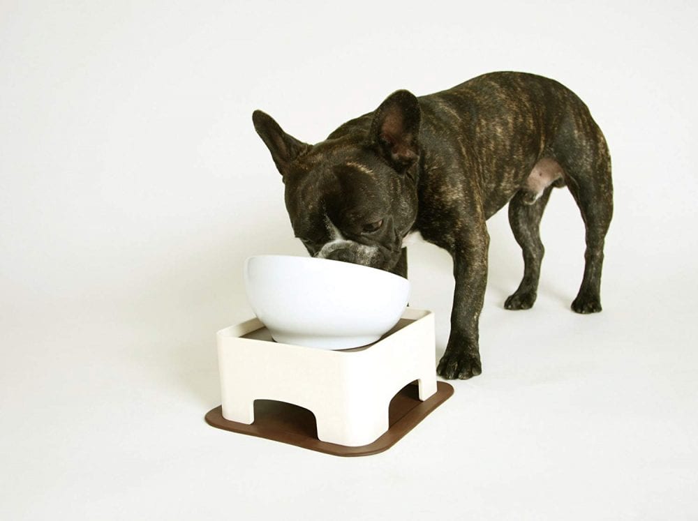 Mixing French Bulldogs Wet & Dry Foods